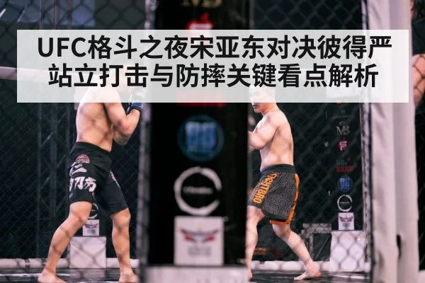 MMA octagon fight