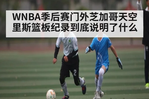 WNBA季后赛门外芝加哥天空里斯篮板纪录到底说明了什么